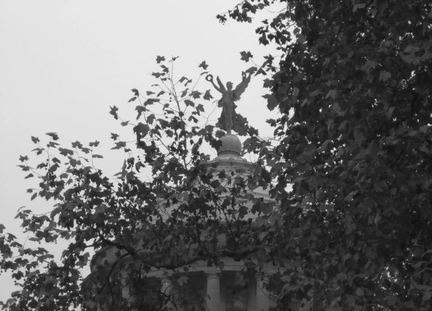 Bed & Breakfast B&B A Cote Du Cinquantenaire Brussels